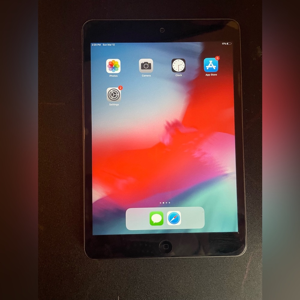 iPad mini 2 16GB - Space Gray with screen protector and case